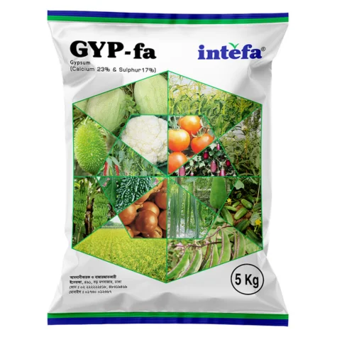 GYP-fa (জিওয়াইপি-ফা)