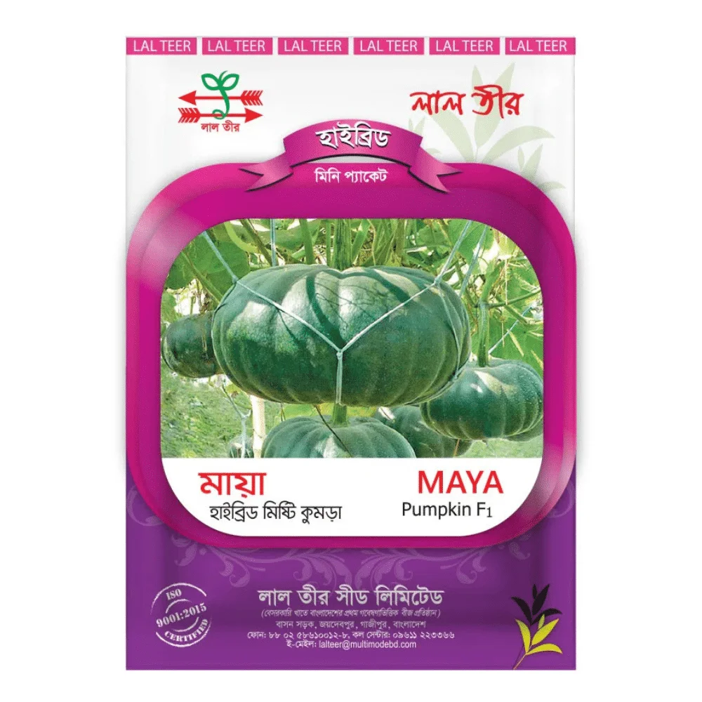 Maya F1 Hybrid Pumpkin Seed - মায়া হাইব্রিড মিষ্টি কুমড়া বীজ (Sweet & High Yield)