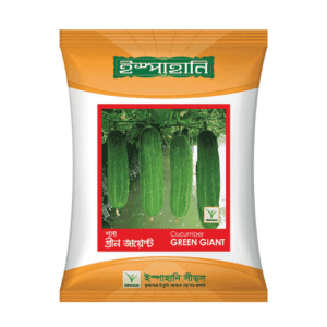 F1 Hybrid Cucumber Baromashi (বারোমাসি শসা বীজ) | All Season High Yield Cucumber Seeds BD