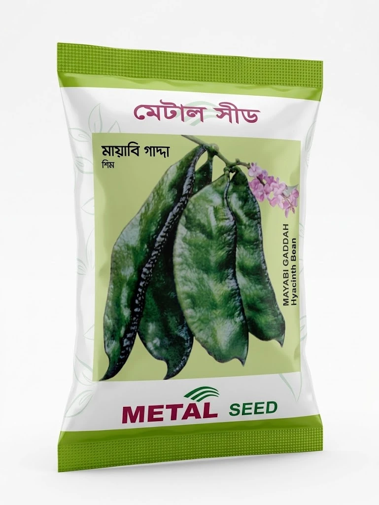 Metal Seed Mayabi Gaddah Hyacinth Bean Seeds - মেটাল সিড মায়াবি গাল্দা শিম বীজ