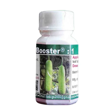 BOOSTER 1 (বুস্টার ১)