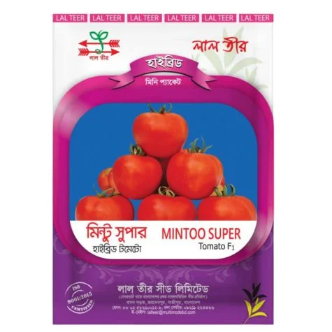 Mintoo Super F1 Hybrid Tomato Seed - মিন্টু সুপার হাইব্রিড টমেটো বীজ (Original Intake)