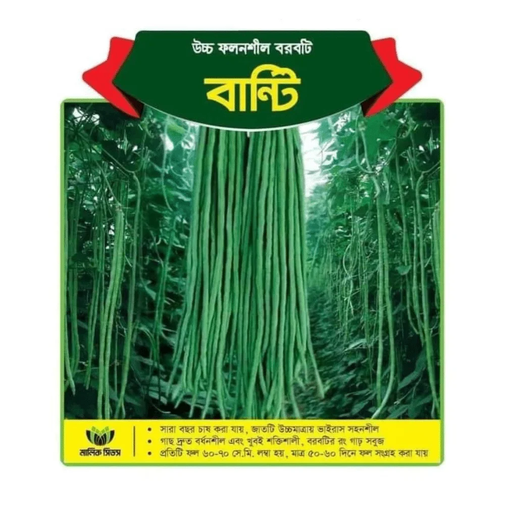 Bunty F1 Hybrid Yard Long Bean Seeds - বান্টি হাইব্রিড বরবটি বীজ (Extra Long & Green)