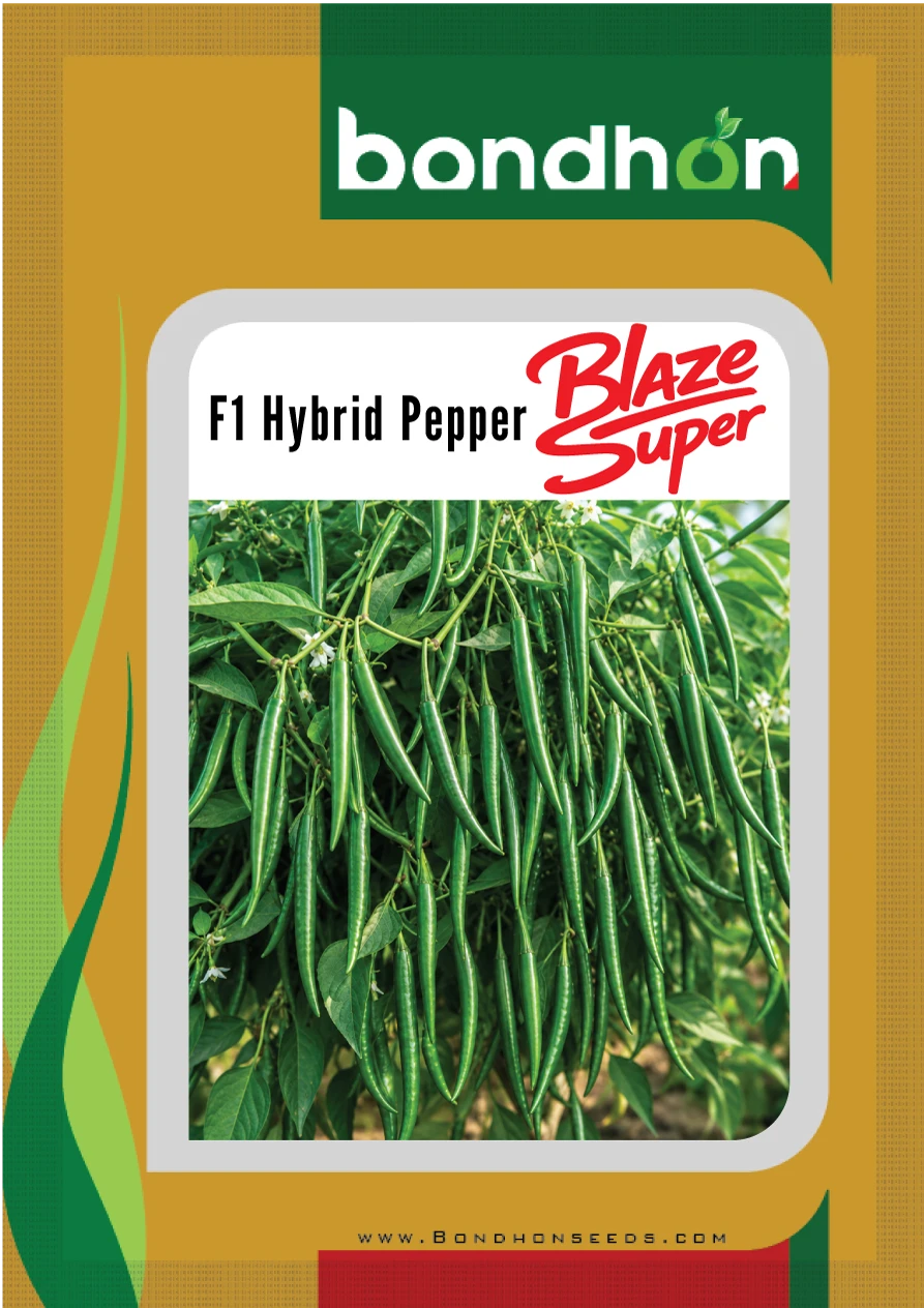 Hybrid Pepper Blaze Super (ব্লেজ সুপার – হাইব্রিড মরিচ) | Bondhon Seeds