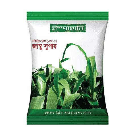 F1 Hybrid Jambu Super Grass Seeds - উচ্চ প্রোটিন সমৃদ্ধ হাইব্রিড জাম্বু সুপার ঘাস বীজ