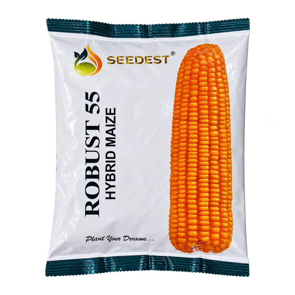 রোবাস্ট ৫৫ হাইব্রিড ভুট্টা বীজ ১ কেজি (Robust 55)