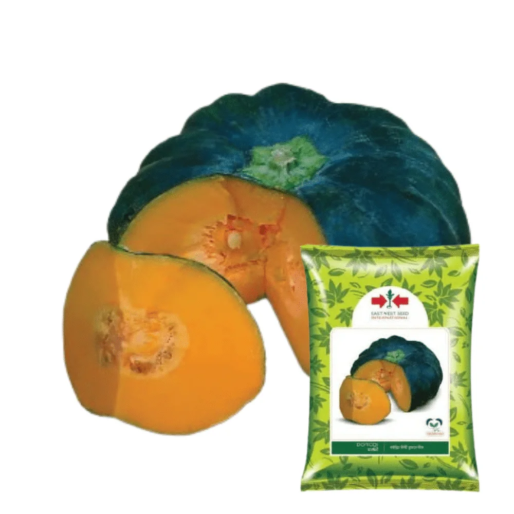 Dorodi F1 Hybrid Pumpkin Seed - দরদী হাইব্রিড মিষ্টি কুমড়া বীজ (Premium Quality)