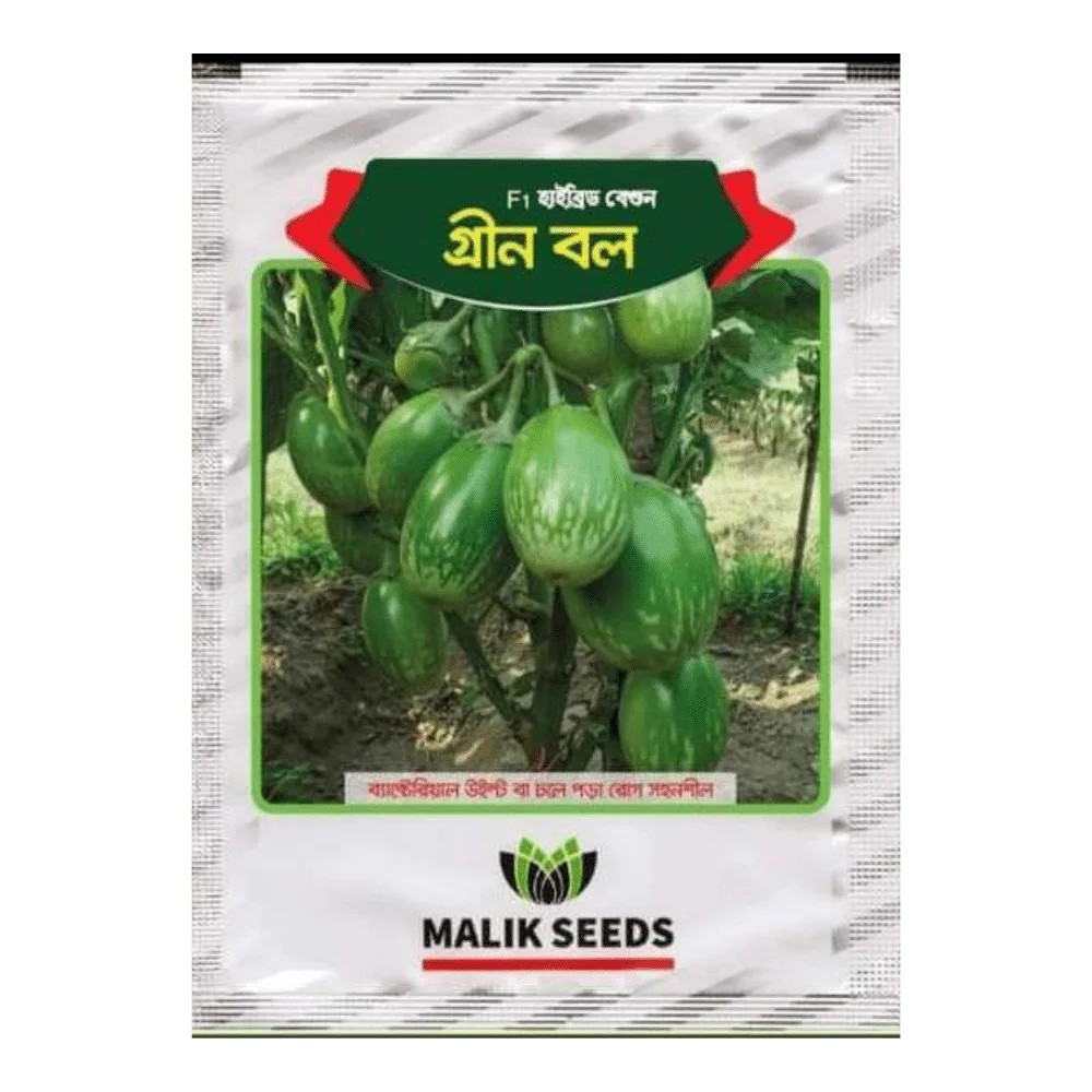 Green Ball Hybrid Brinjal Seeds - গ্রীন বল হাইব্রিড বেগুন বীজ (High Yielding Round Variety)