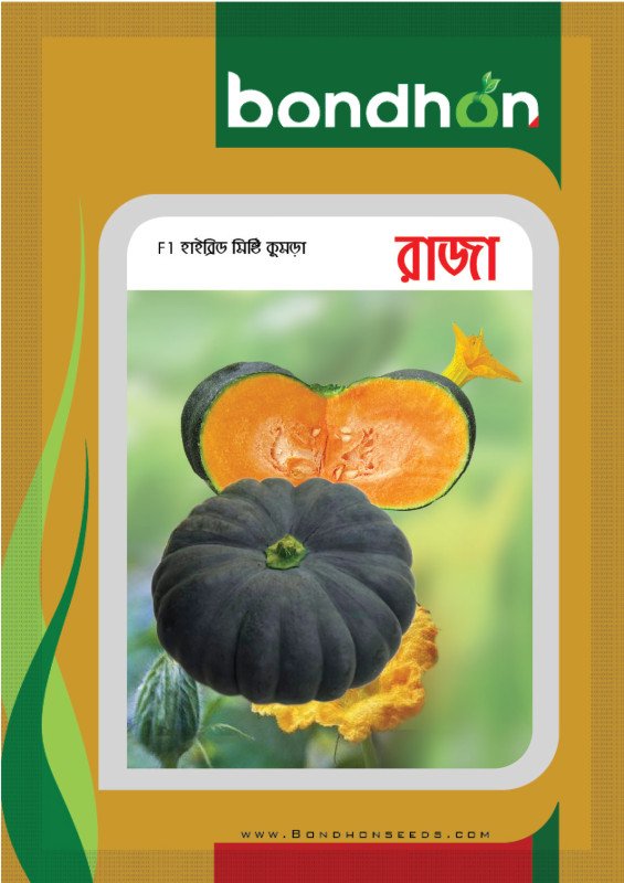 Raja F1 Hybrid Pumpkin Seed - রাজা হাইব্রিড মিষ্টি কুমড়া বীজ (Original Intake)