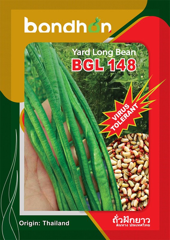 BGL 148 Yard Long Bean Seeds - বিজিএল ১৪৮ উচ্চ ফলনশীল বরবটি বীজ (Premium Quality)