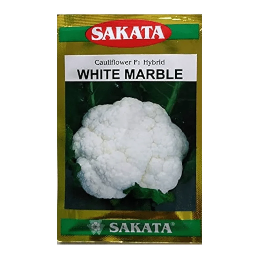 White Marble F1 Hybrid Cauliflower Seeds - হোয়াইট মার্বেল হাইব্রিড ফুলকপি বীজ (Pure White & Compact)