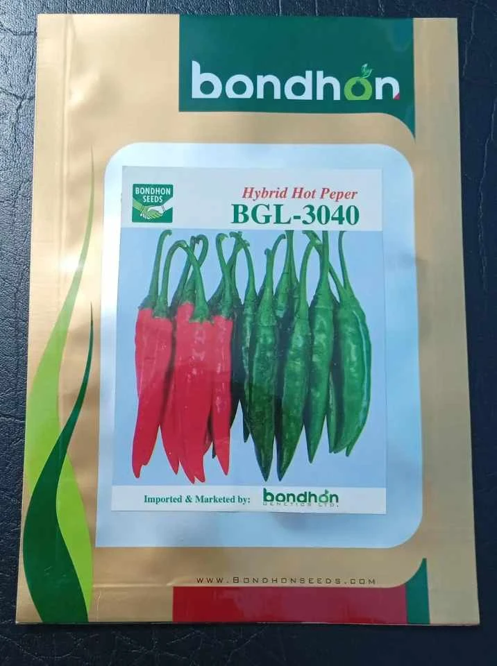 F1 Hybrid Pepper BGL-3040 (হাইব্রিড মরিচ - বিজিএল-৩০৪০)