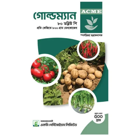 Gold Man 80 WP (গোল্ড ম্যান ৮০ ডব্লিউপি)