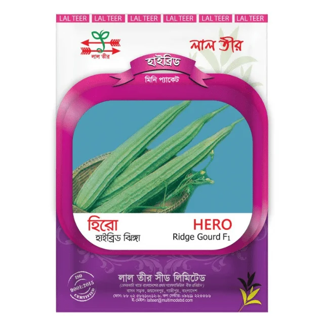 Hero F1 Hybrid Ridge Gourd Seeds - হিরো হাইব্রিড ঝিঙ্গা বীজ (Virus Resistant & High Yield)