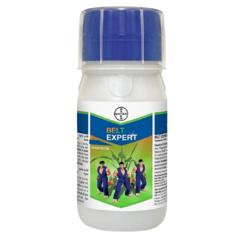 Belt Expert(বেল্ট এক্সপার্ট)