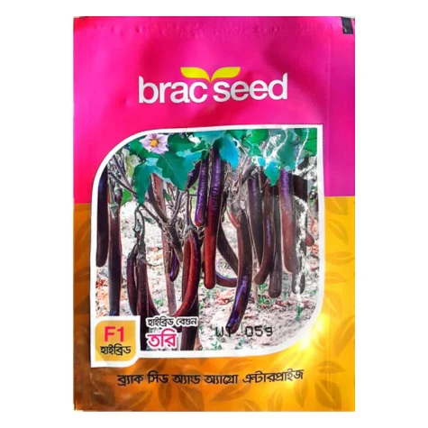 Tori Hybrid Brinjal Seeds - তরি হাইব্রিড বেগুন বীজ (High Yielding & Long Variety)