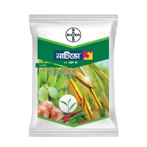 Nativo (নাটিভো)