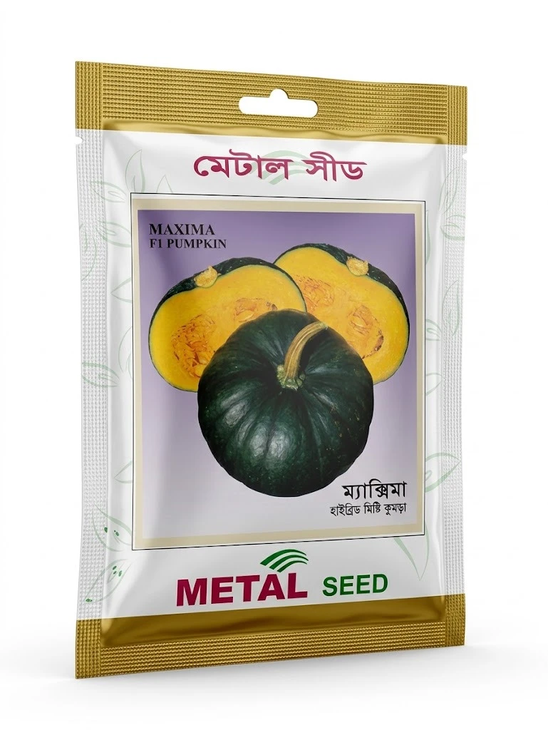 Metal Seed Maxima F1 Pumpkin Seeds - মেটাল সিড ম্যাক্সিমা হাইব্রিড মিষ্টি কুমড়া বীজ