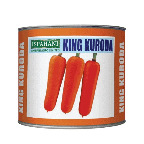 King Kuroda Hybrid Carrot Seeds - কিং কুরদা হাইব্রিড গাজর বীজ (Deep Orange & High Yield)