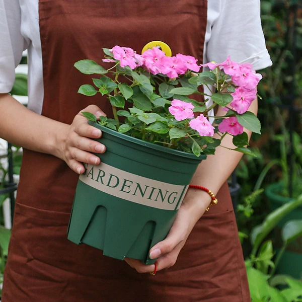 রুট কন্ট্রোল টব (Root Control Pot with Tray)