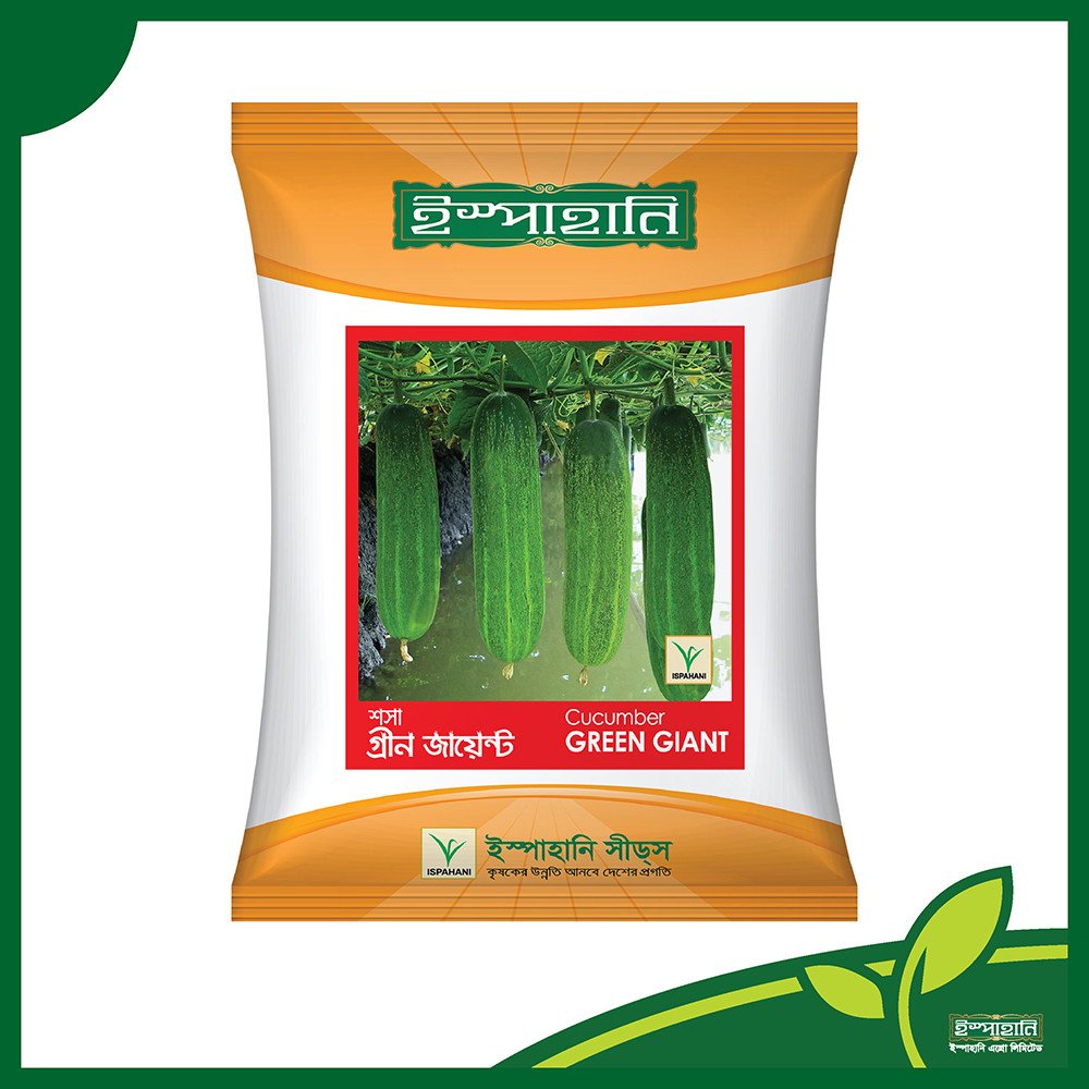 F1 Hybrid Cucumber Seed Green Giant (গ্রীণ জায়ান্ট)