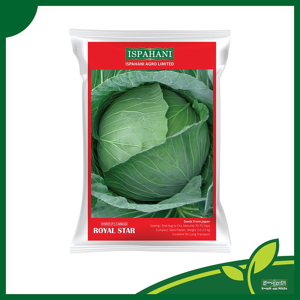 Royal Star F1 Hybrid Cabbage Seeds - রয়েল স্টার হাইব্রিড বাঁধাকপি বীজ (Premium Quality)