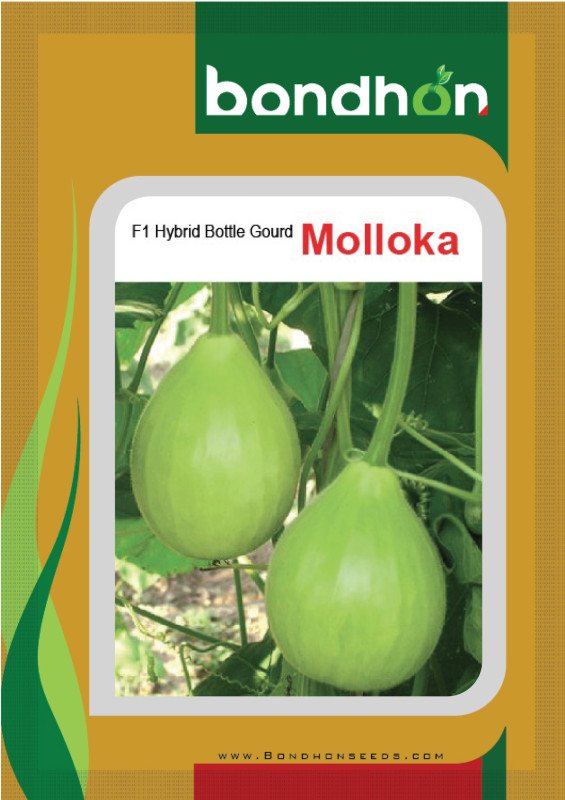 Mollika F1 Hybrid Bottle Gourd Seeds - মল্লিকা হাইব্রিড লাউ বীজ (High Yielding & Tasty)