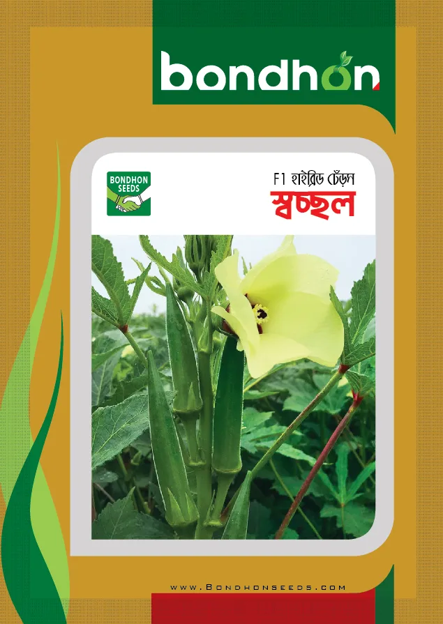 F1 হাইব্রিড ঢেঁড়স - স্বচ্ছল | Sacchal Okra Seeds - AgroVally