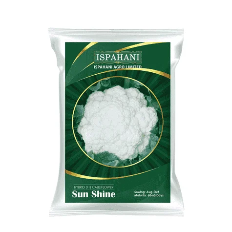 Sun Shine F1 Hybrid Cauliflower Seeds - সান শাইন হাইব্রিড ফুলকপি বীজ (Super White & High Yield)