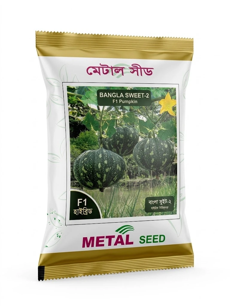 Metal Seed Bangla Sweet-2 F1 Pumpkin Seeds - মেটাল সিড বাংলা সুইট-২ হাইব্রিড মিষ্টিকুমড়া বীজ