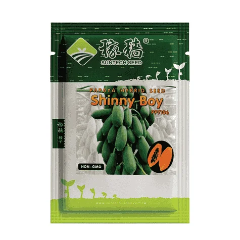 Shinny Boy Hybrid Papaya Seeds - সাইনি বয় হাইব্রিড পেঁপে বীজ (High Yielding & Virus Resistant)