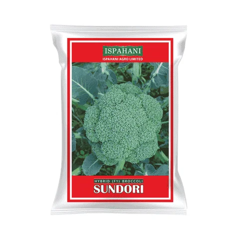 Sundori Hybrid Broccoli Seeds - সুন্দরী হাইব্রিড ব্রকলি বীজ (Premium Quality & High Yield)