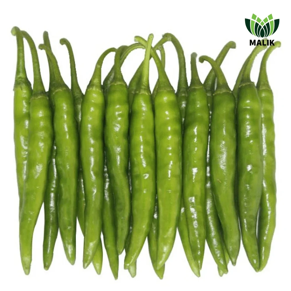 Sakata F1 Hybrid Chili Seed - সাকাতা হাইব্রিড মরিচ বীজ (Original Intake)