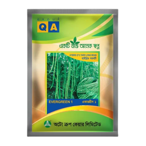 Ever Green 1 F1 Hybrid Yard Long Bean Seeds - এভারগ্রীণ ১ হাইব্রিড বরবটি বীজ (Virus Resistant)
