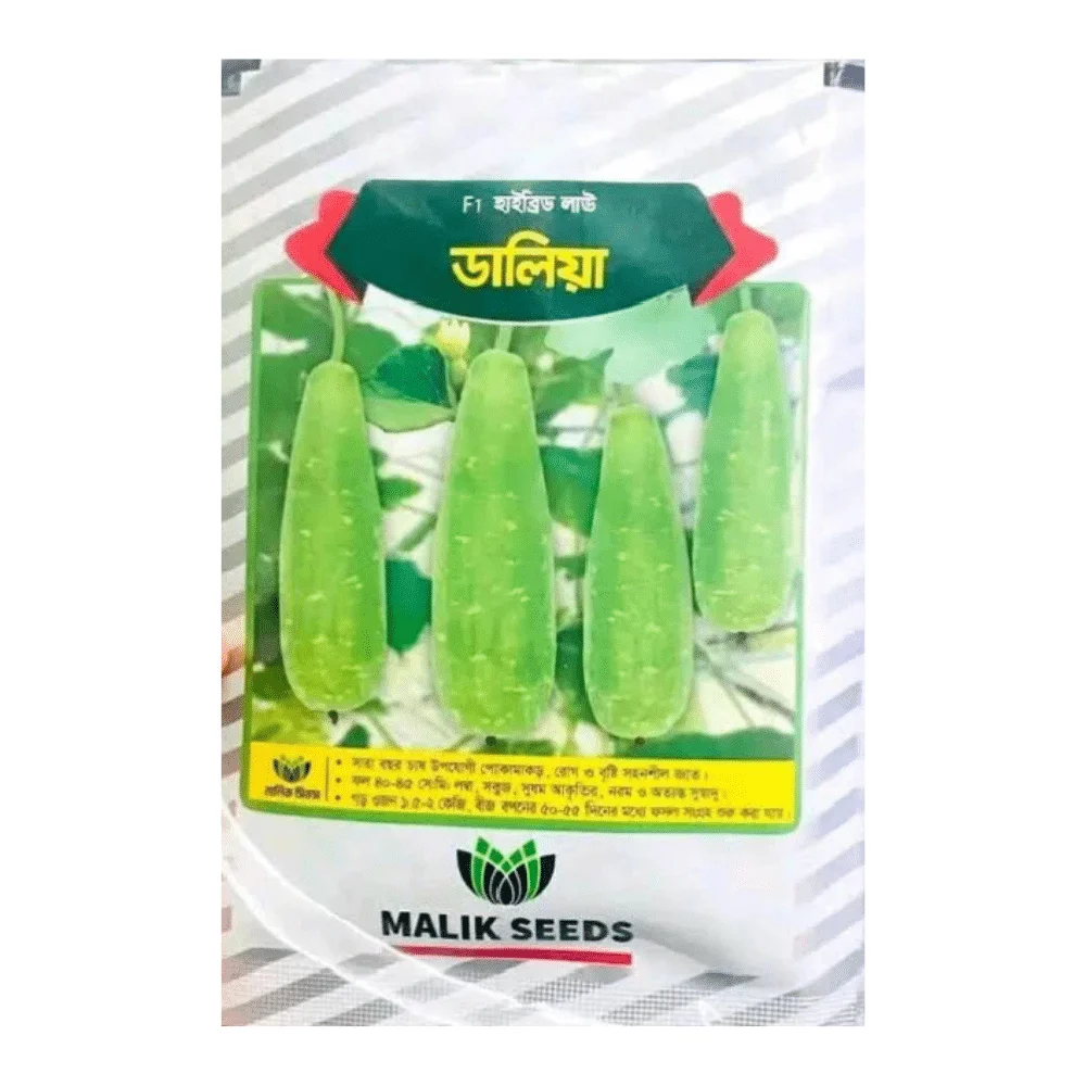 Dalia F1 Hybrid Bottle Gourd Seeds - ডালিয়া হাইব্রিড লাউ বীজ (High Yield & All Season)