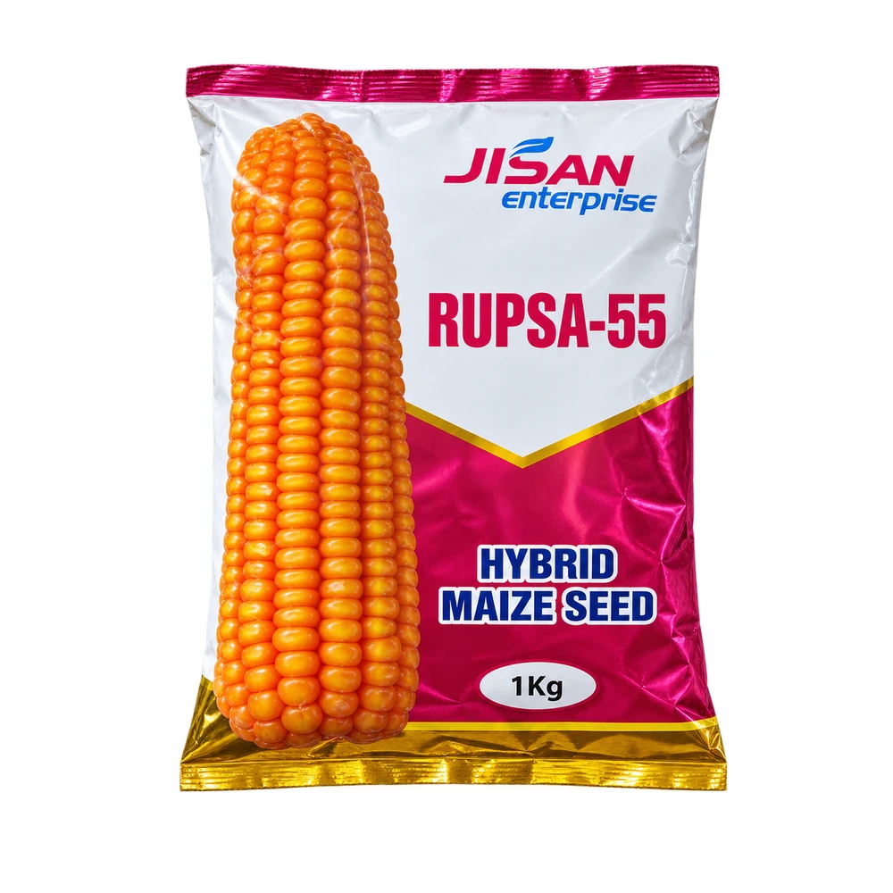 রূপসা ৫৫ হাইব্রিড ভুট্টা বীজ ১ কেজি (Rupsa 55)