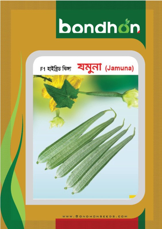 Jamuna F1 Hybrid Ridge Gourd Seeds - যমুনা হাইব্রিড ঝিঙ্গা বীজ (High Yield & Virus Resistant)