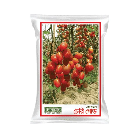 Cherri Gold F1 Hybrid Tomato Seed - চেরী গোল্ড হাইব্রিড টমেটো বীজ (High Yielding)