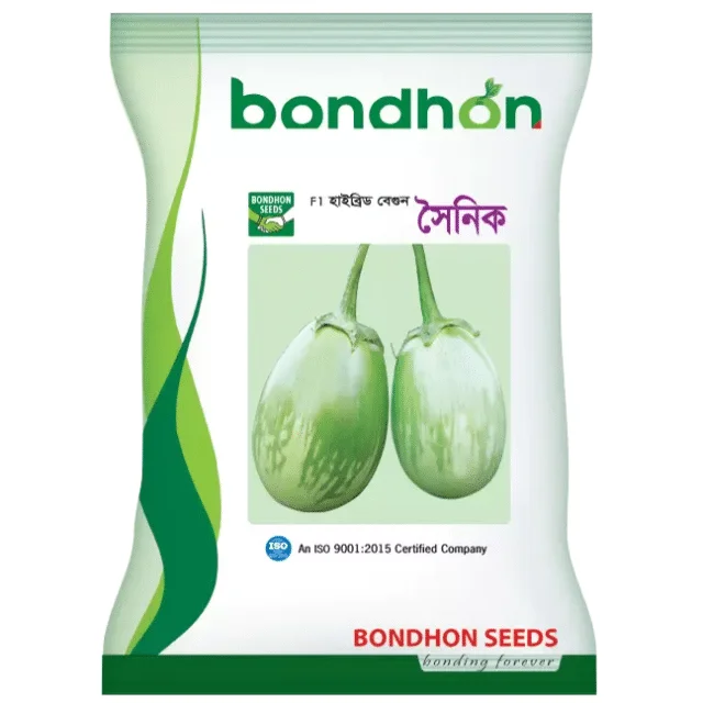 Soinik F1 Hybrid Brinjal Seeds - সৈনিক হাইব্রিড বেগুন বীজ (Long & Shiny Purple)
