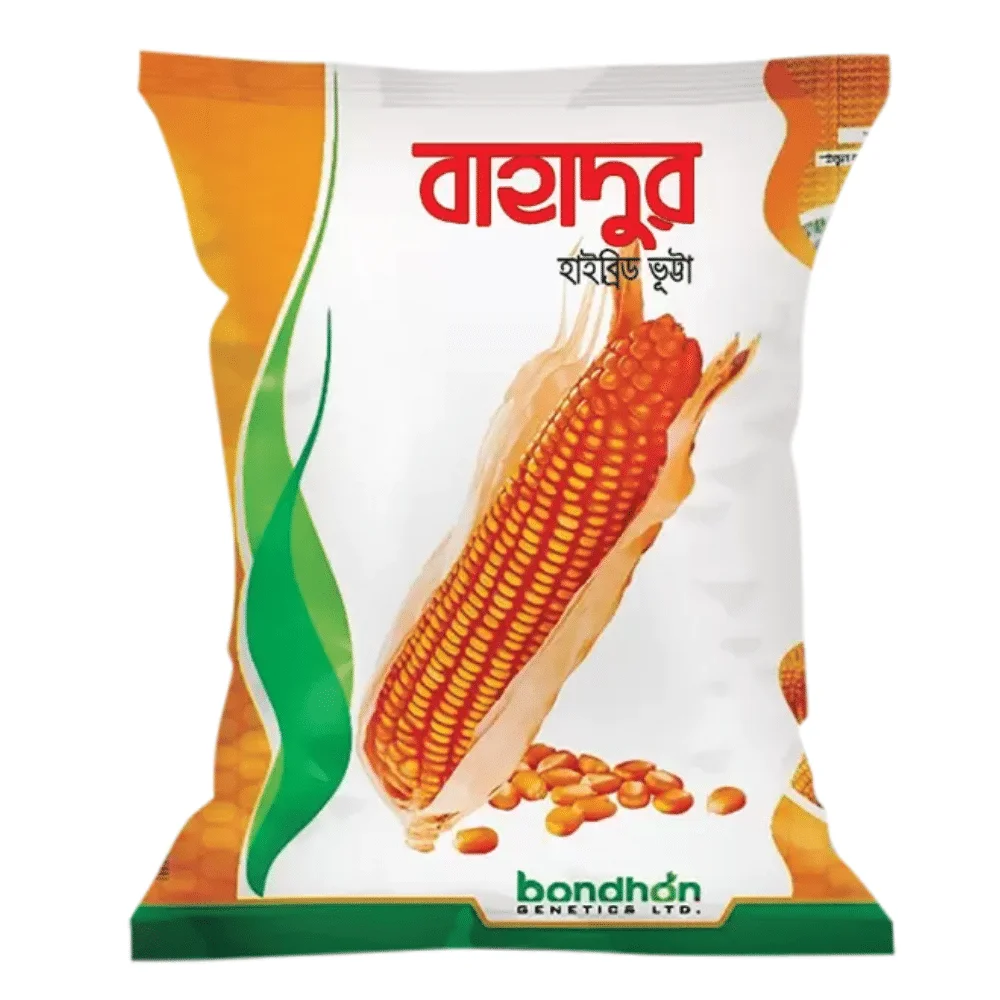 F1 Hybrid Maize Bahadur Seeds - উচ্চফলনশীল হাইব্রিড ভুট্টা বীজ (বাহাদুর)