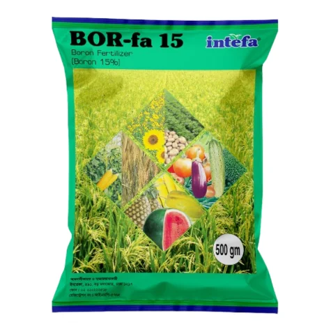 BOR-fa 15 (বোর-ফা ১৫)