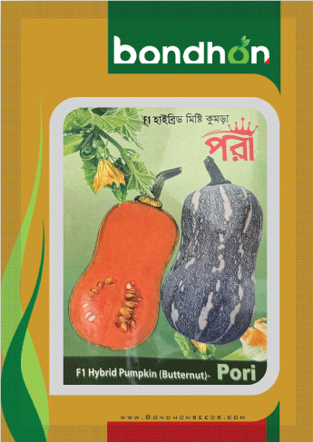 Pori F1 Hybrid Pumpkin Seed - পরী হাইব্রিড মিষ্টি কুমড়া বীজ (High Yielding)