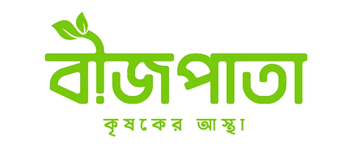 Bizpata - বীজপাতা
