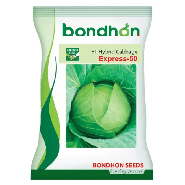 Express 50 F1 Hybrid Cabbage Seeds - এক্সপ্রেস ৫০ হাইব্রিড বাঁধাকপি বীজ (Extra Early & Compact)