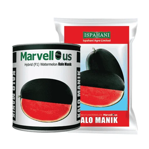 F1 Hybrid Watermelon Kalo Manik Seeds - উচ্চফলনশীল হাইব্রিড তরমুজ কালো মানিক