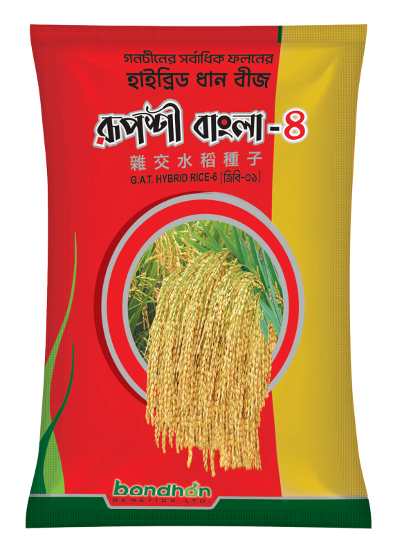 F1 Hybrid Rice Seeds Ruposhi Bangla 4 - উচ্চফলনশীল হাইব্রিড ধান বীজ রূপশী বাংলা ৪