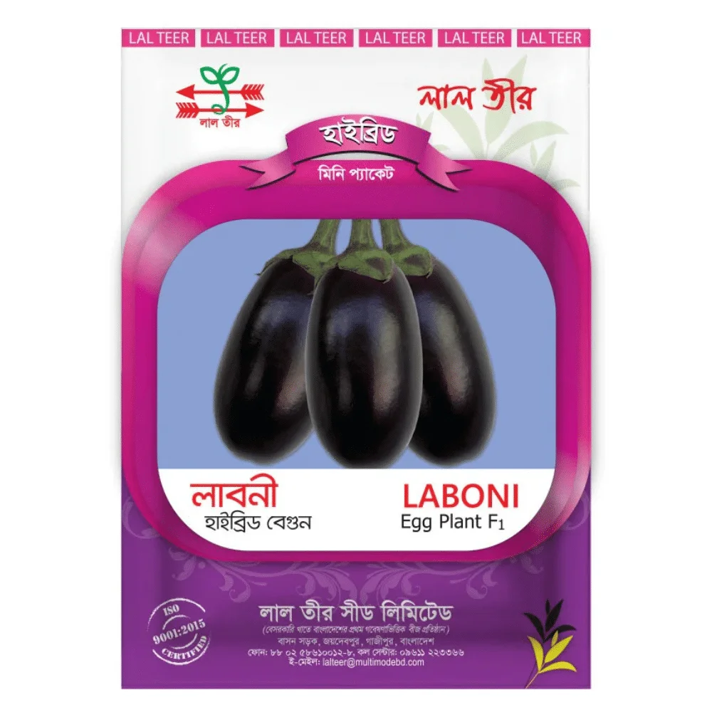 Laboni F1 Hybrid Brinjal Seeds - লাবনী হাইব্রিড বেগুন বীজ (High Yielding & Shiny Purple)