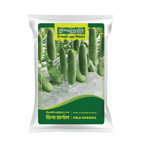 F1 Hybrid Cucumber Seed Field Marshal (ফিল্ড মার্শাল শসা বীজ) | High Yield Cucumber Seeds BD