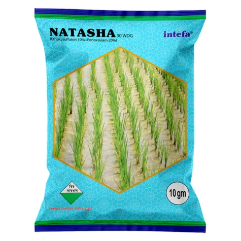 NATASHA 30 WDG (নাতাশা ৩০ ডব্লিউডিজি)
