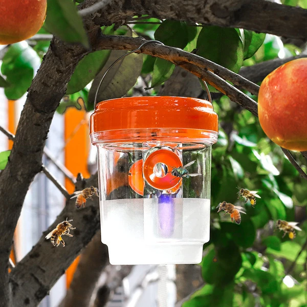 সোলার পোকা ধরার ফাঁদ (Solar Insect Trap)